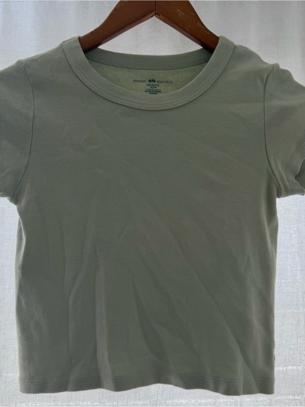 Brandy Melville Sage Green Short Sleeve Crew Tee